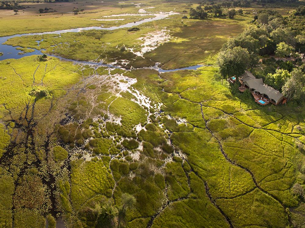 Duba Plains Suite